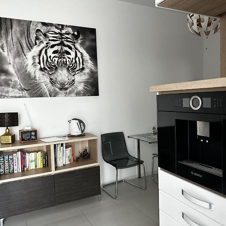 פישטני Apartman Lodenica מראה חיצוני תמונה